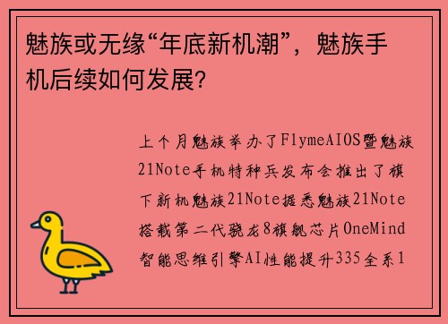 魅族或无缘“年底新机潮”，魅族手机后续如何发展？