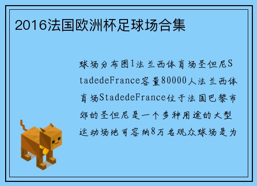 2016法国欧洲杯足球场合集