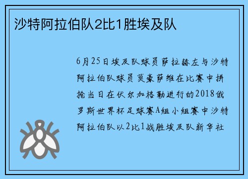 沙特阿拉伯队2比1胜埃及队