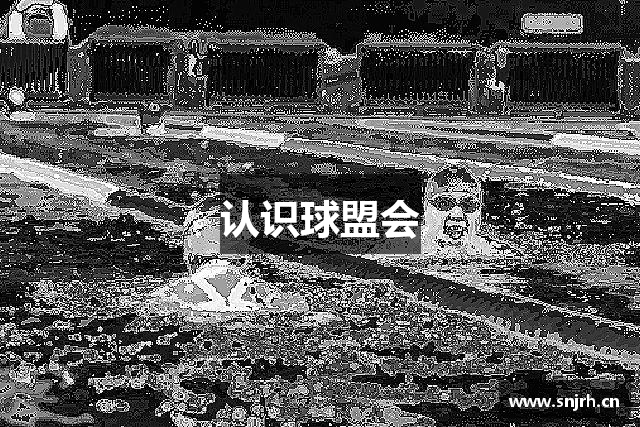 认识球盟会